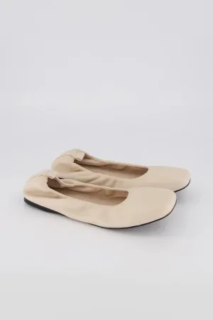 Jasper | Shell